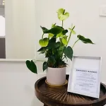 Apartment Urban Lounge